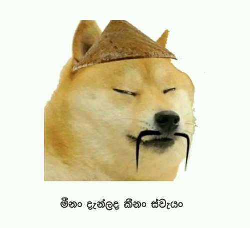 FB IMG 16828278883286258.jpg