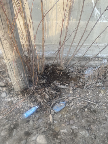 3BFA1E00 AA11 4519 BF19 03A90DFAE183.jpg