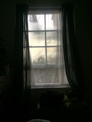 IMG 4589.jpg