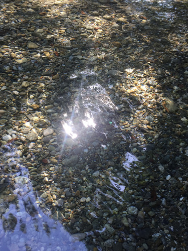 IMG 3419.jpg