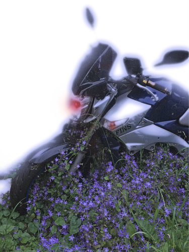 IMG 3058.png