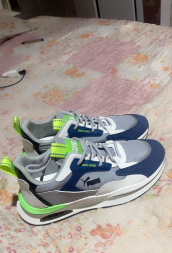 puma4.png