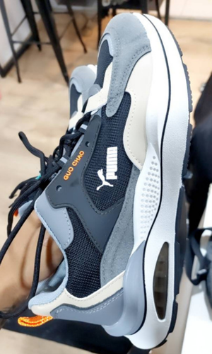 puma7.png
