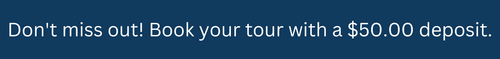 header banner.png