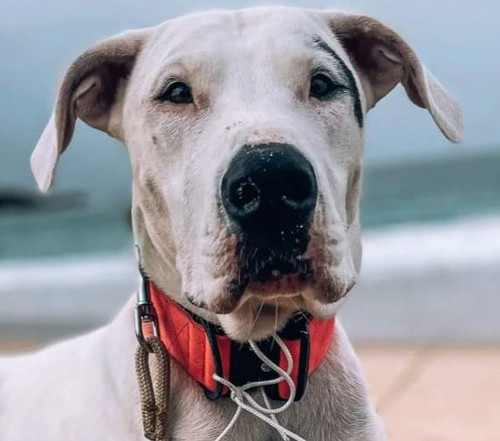 FB IMG 1682847235954.jpg