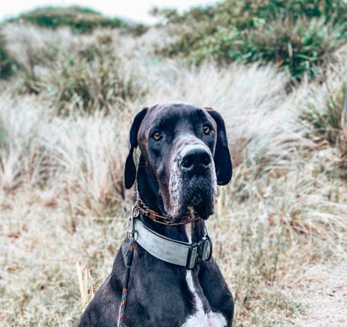 received 1418188248945305.jpg