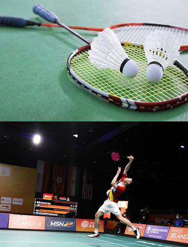 badminton (2).png