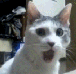аааааа.gif