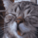 ппппп.gif