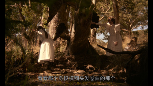 悬崖上的野餐.Picnic.at.Hanging.Rock.1975.Director's.Cut.2160p.GBR.UHD.Blu ray.HEVC.DTS HD.MA.5.1 FFansDIY@.jpg