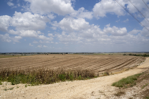 שטח 04.jpg