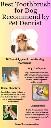 K9 Gentle Dental The Top Choice for Your Pet's Dental Care.jpg