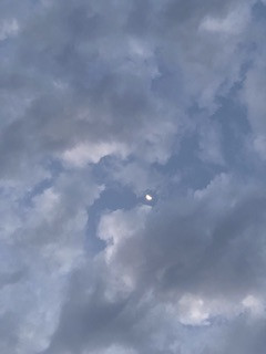 tmp imagesIMG 9018.jpg