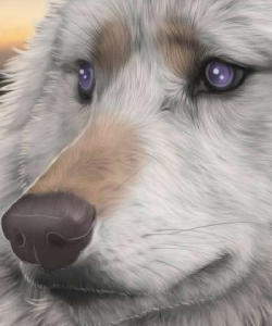 atlas1 by renallia dfw3ty2 pre.png