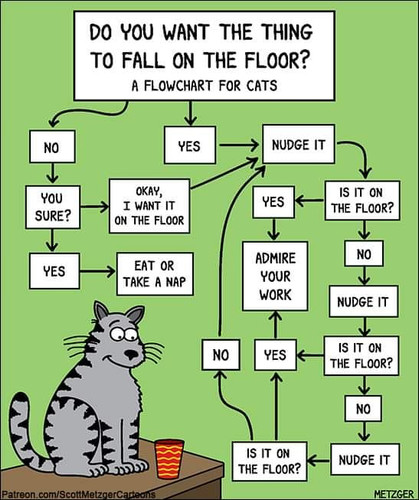 flow chart.jpg