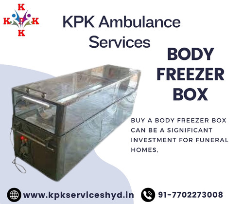 Body freezer box.jpg