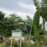 TC 00507