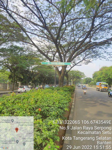 TimePhoto 20220629 155156.jpg