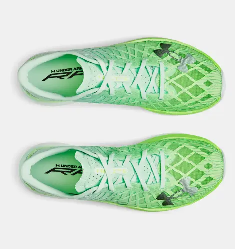 3026801 Lime Surge 300 3.webp