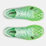 3026801 Lime Surge 300 3