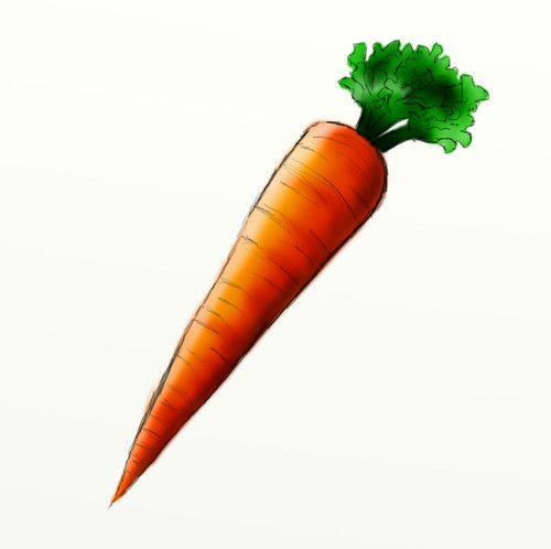 how to draw a carrot.jpg