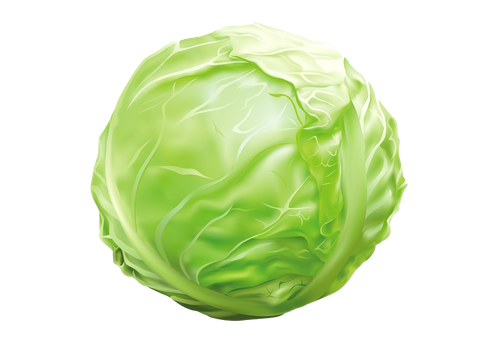 Cabbage Transparent Background.png