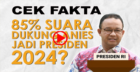 anies copy.jpg
