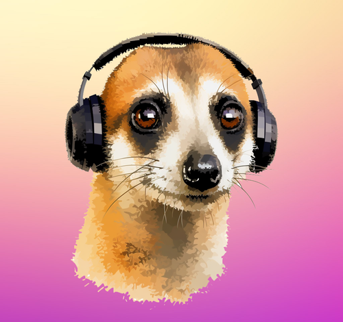 meerkat bg.png