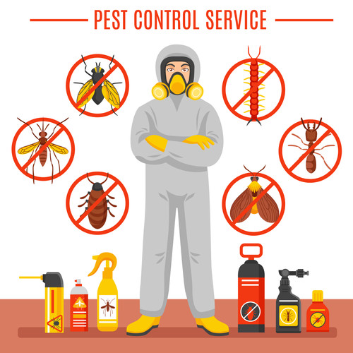 Pest Control Services in Gurgaon.jpg