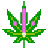 wiet3.png