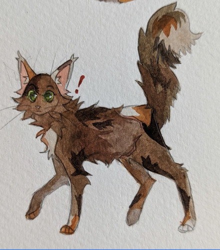 5AD892F1 EA77 47CF AF7C 7DC1ADB76294.jpg