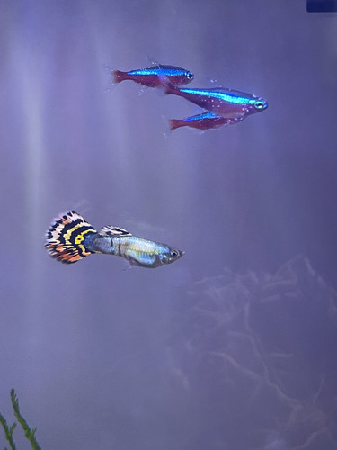 65032AF0 A257 4F2D AE8C 32D73754951A.jpg