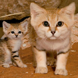 Screen Shot 2023 05 07 at 12.23.08 PM.png