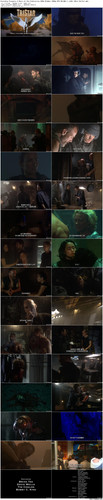 Starship.Troopers.2.Hero.of.the.Federation.2004.BluRay.1080p.DTS HD.MA5.1.x265.10bit BeiTai preview.jpg