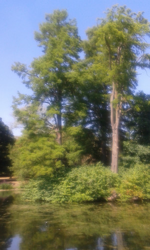 20180803 150023.jpg