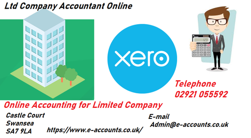 Ltd Company Accountant Online.png