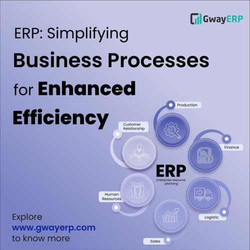ERP in Business Process.jpg