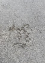 145.jpg