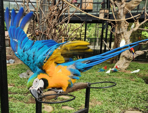 Foto liburan park & zoo.jpg