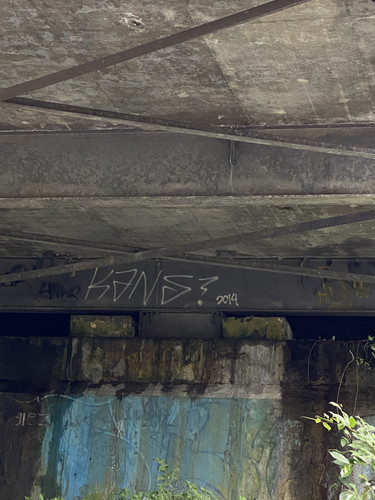 IMG 3902.jpg