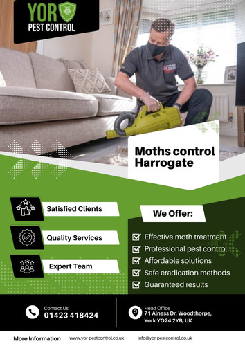 moths control Harrogate.jpg