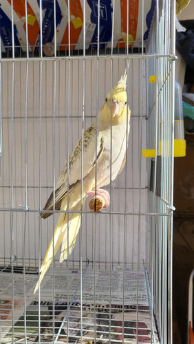 3B884471 14A3 436D 84C9 2701736F1B01.jpg