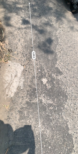 IMG 3294.jpg