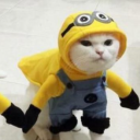 e5f3972666a4f6e4ee8d4847cd215d02.png