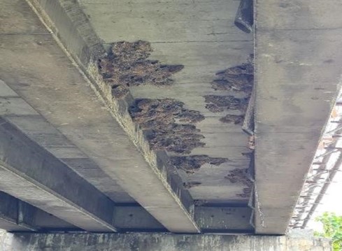 Plat Dek.jpg