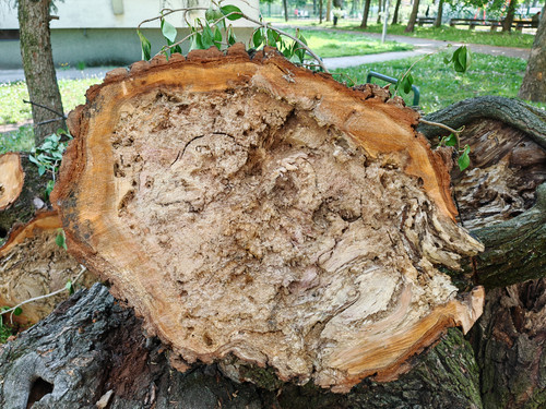 IMG 20230504 131144.jpg