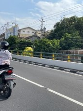 Median Jalan.jpg