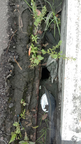 IMG 20230303 084934.jpg