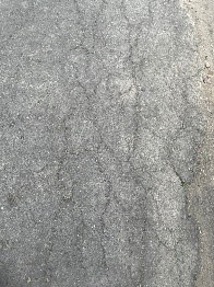 8 1.jpg
