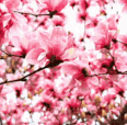 ezgif.com resize (1).gif